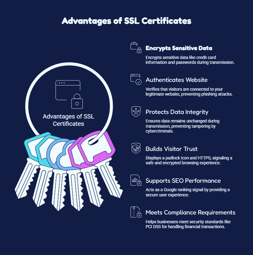 What Is an SSL Certificate A Beginner's Guide to Website Security advantages of ssl certificate